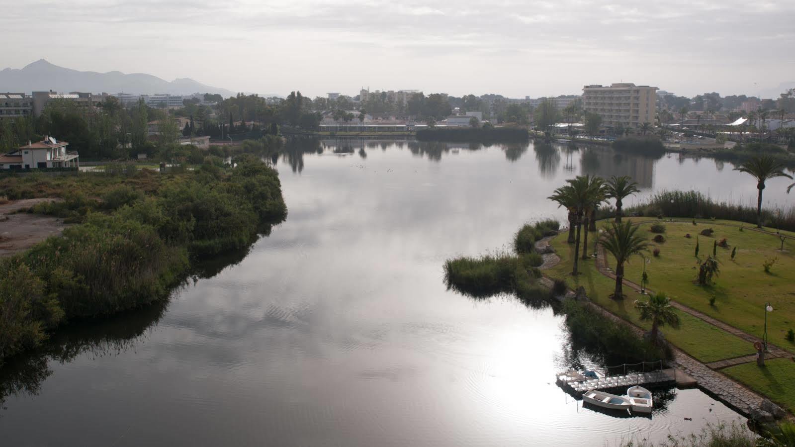 Eix Lagotel